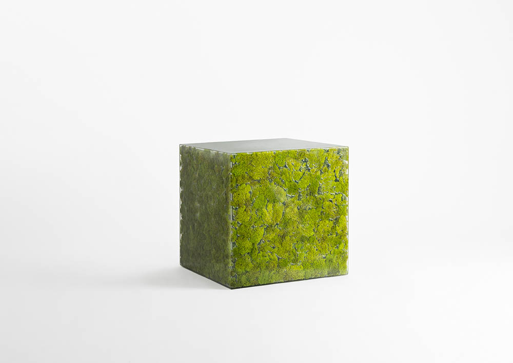 MOSS COLLECTION GREENDESIGN 2