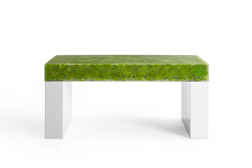 MOSS COLLECTION GREENDESIGN 4
