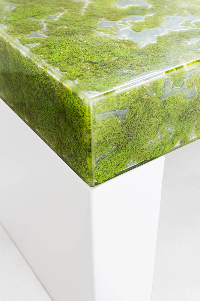 MOSS COLLECTION GREENDESIGN 6