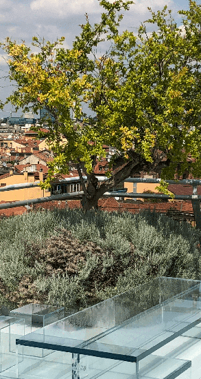 AGRONOMIC CONSULTATIONS to PROFESSIONALS and PRIVATE CUSTOMERS