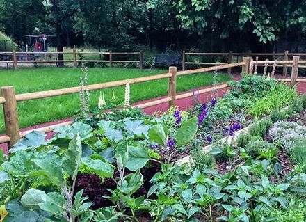 Giardini Terapeutici