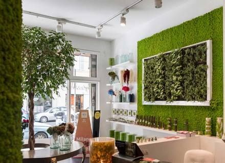 Pareti Verticali Stabilizzate